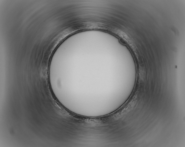 X0000113061089200909250904