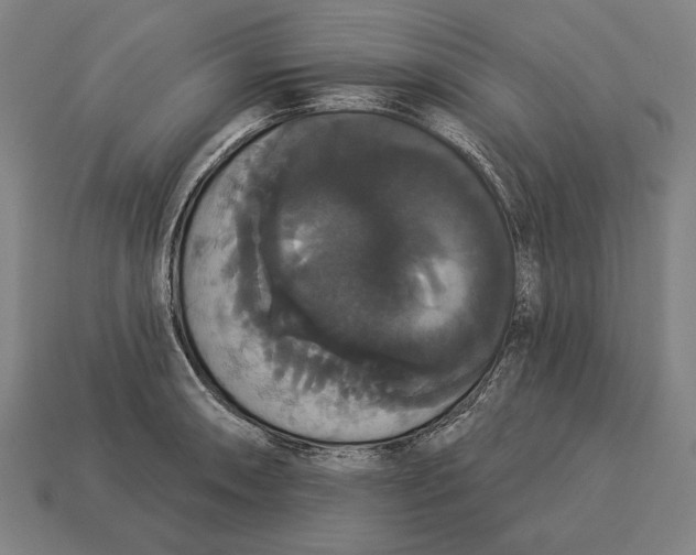 X0000113061090200909250904