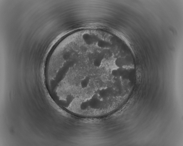 X0000113061091200909250904