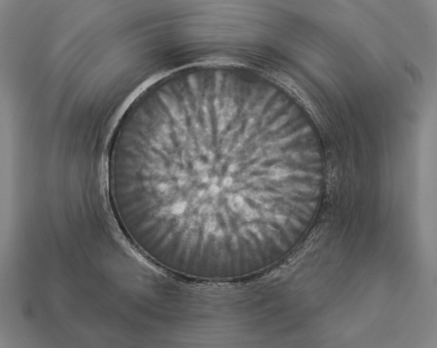 X0000113061092200909250904