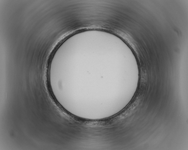 X0000113061093200909250904