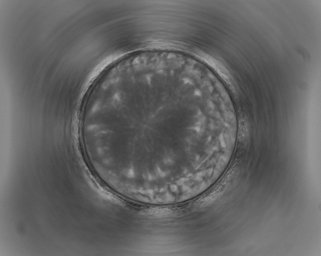 X0000113061094200909250904