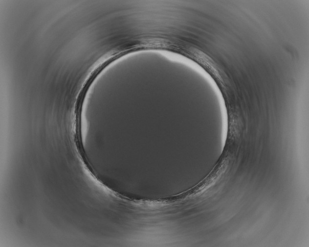 X0000113061095200909250904