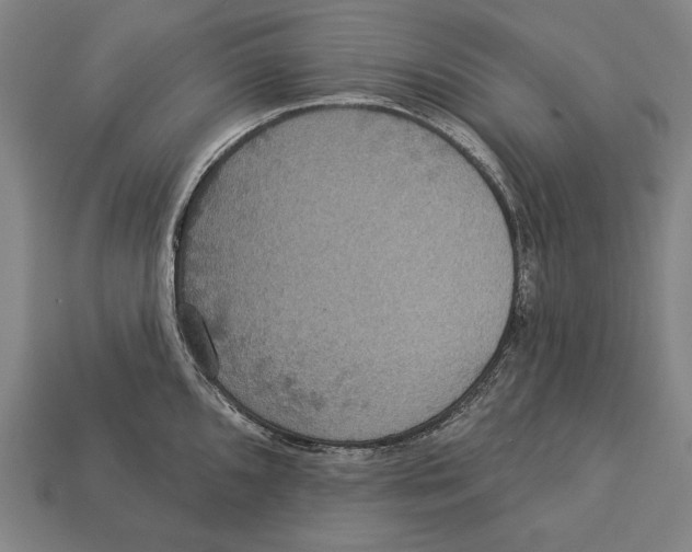 X0000113061096200909250904