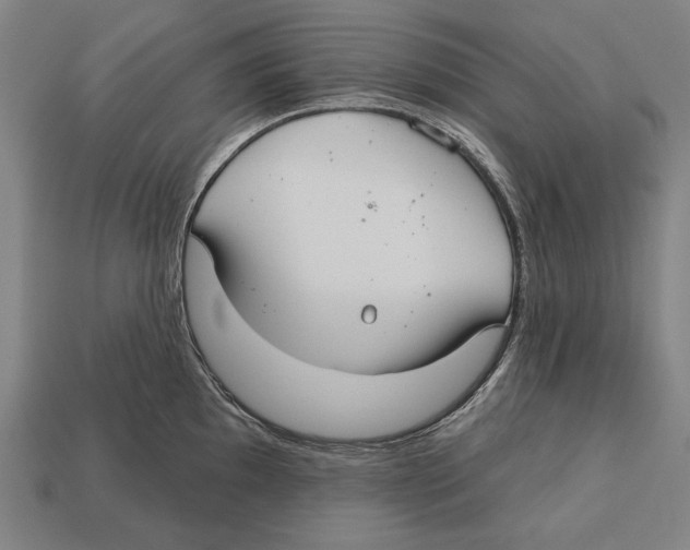 X0000113061097200909250904