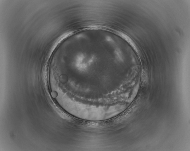 X0000113061098200909250904