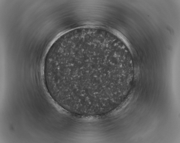 X0000113061099200909250904