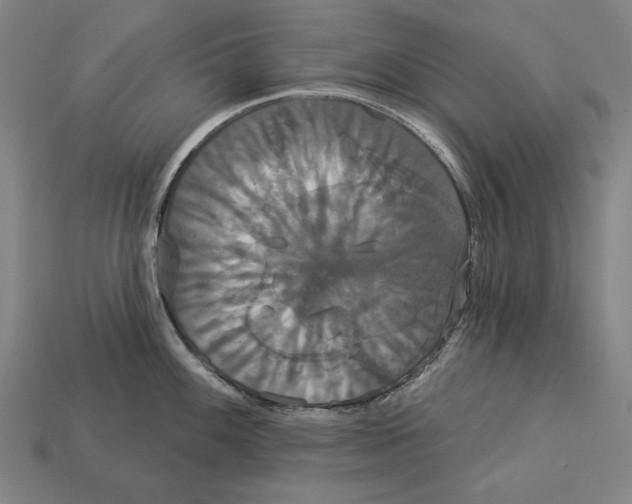 X0000113061100200909250903