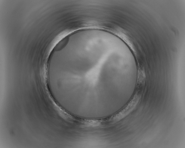 X0000113061101200909250903