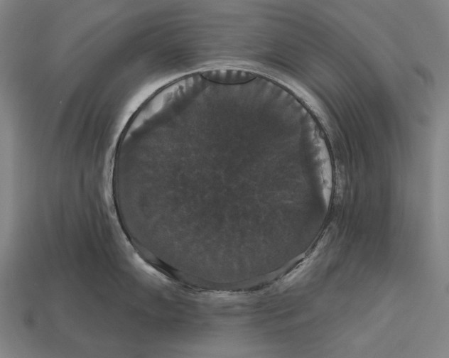 X0000113061102200909250903