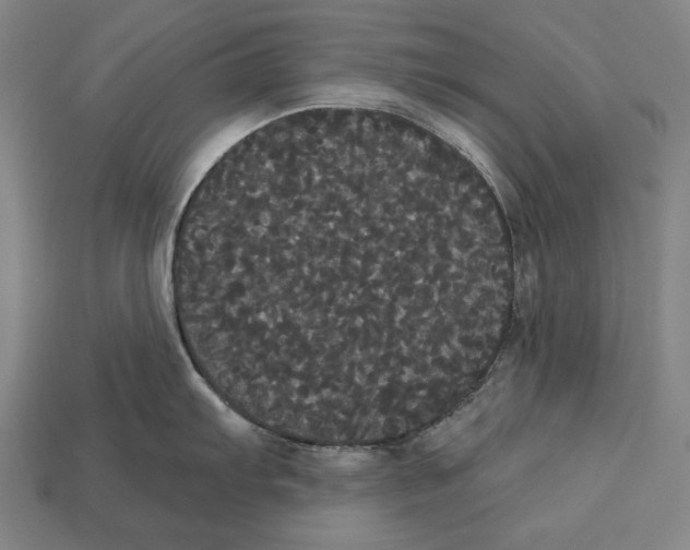 X0000113061103200909250903