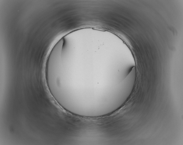 X0000113061104200909250903