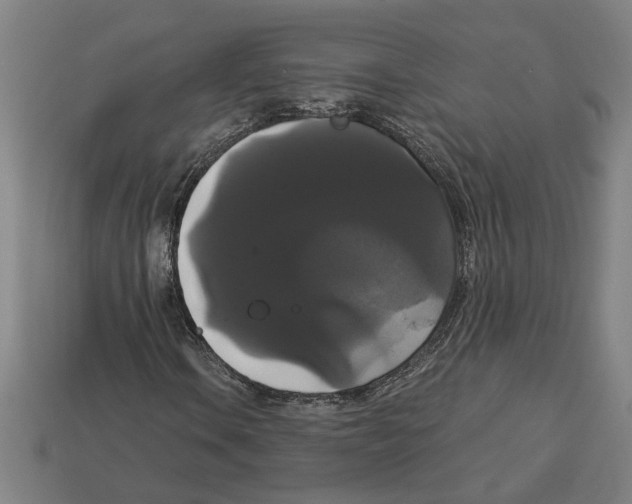 X0000113061106200909250903