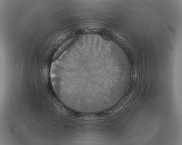 X0000113061108200909250903