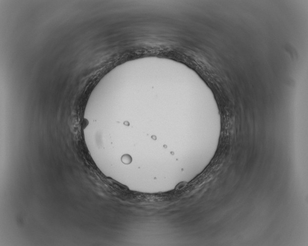 X0000113061109200909250903