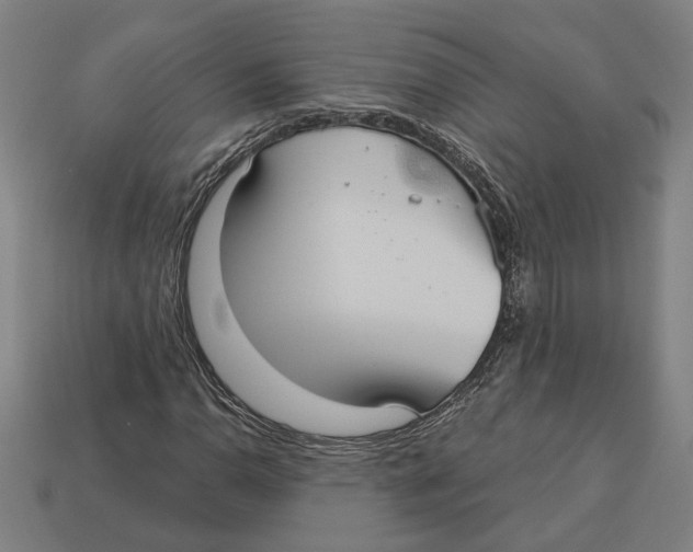 X0000113061110200909250903