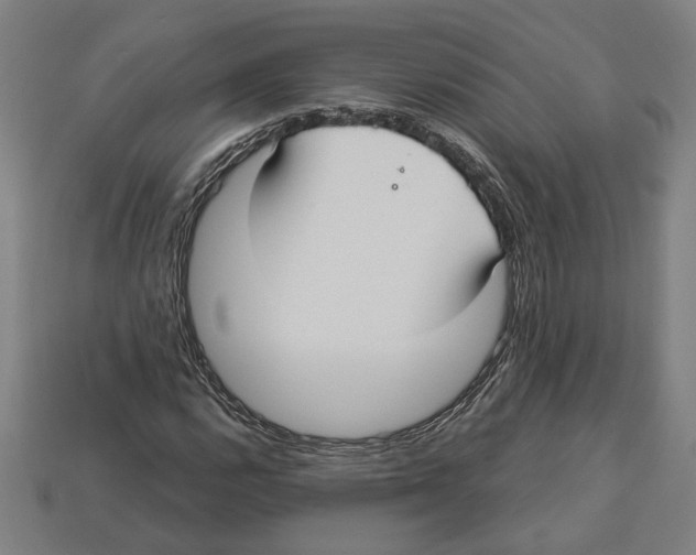 X0000113061112200909250903