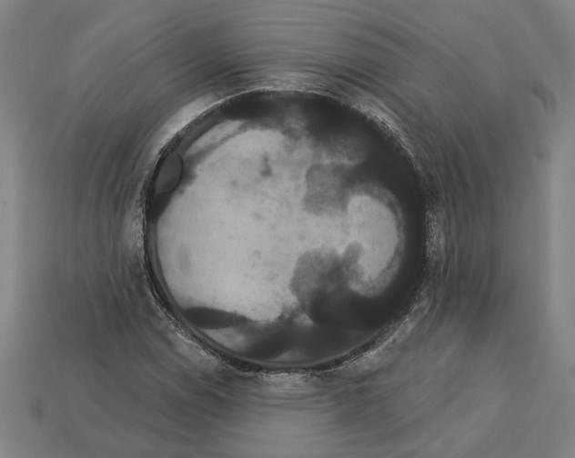 X0000113061114200909250903