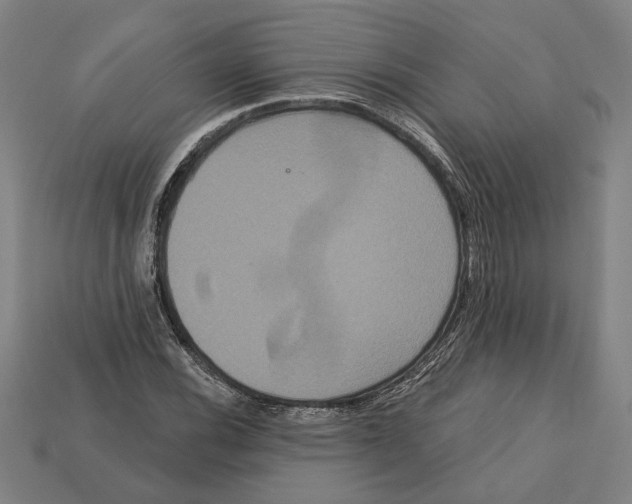 X0000113061116200909250903