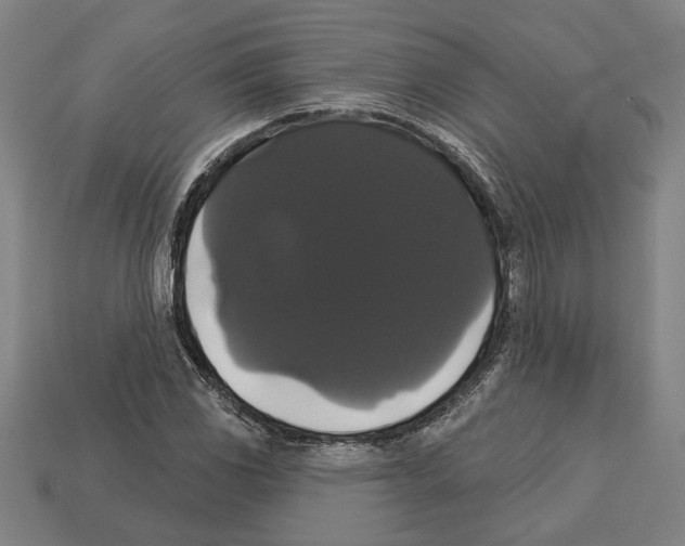 X0000113061117200909250903