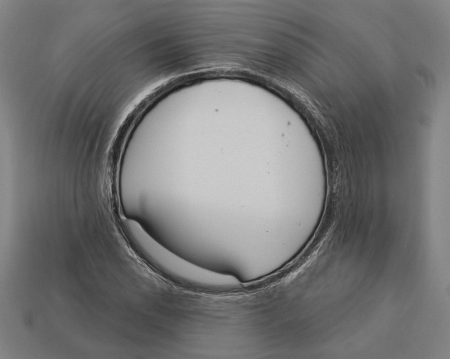 X0000113061118200909250903