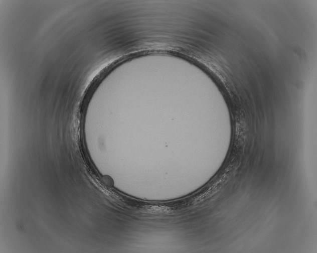 X0000113061119200909250903