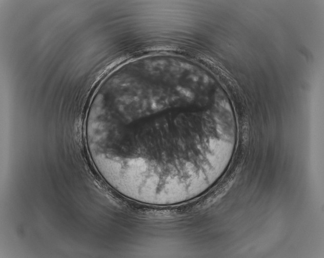 X0000113061121200909250903