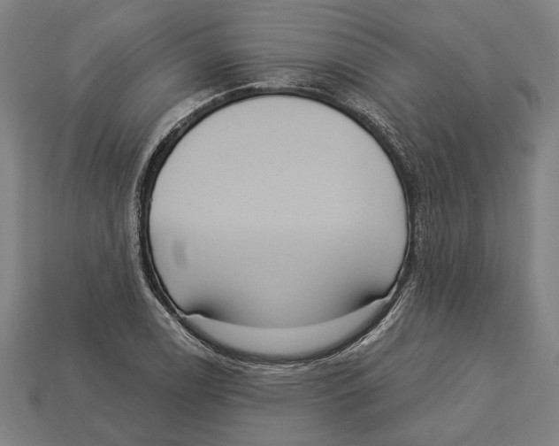 X0000113061122200909250903