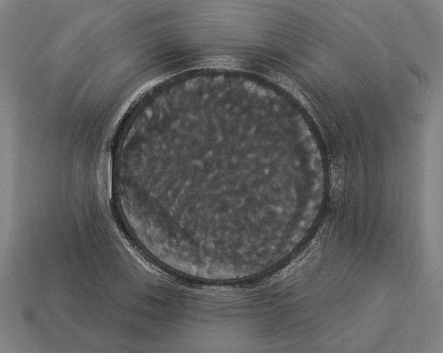 X0000113061123200909250903