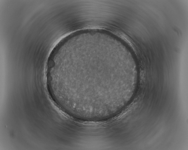 X0000113061124200909250903