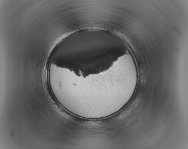 X0000113061125200909250903