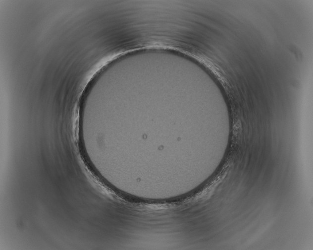 X0000113061126200909250903