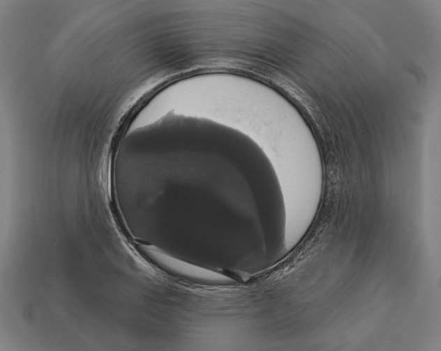 X0000113061127200909250903