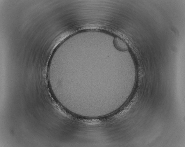 X0000113061129200909250903