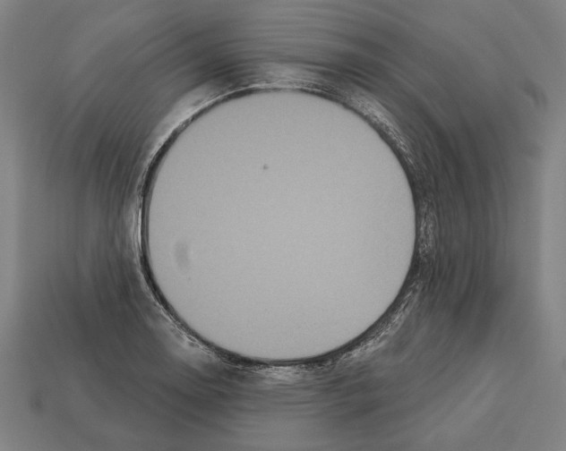 X0000113061130200909250903