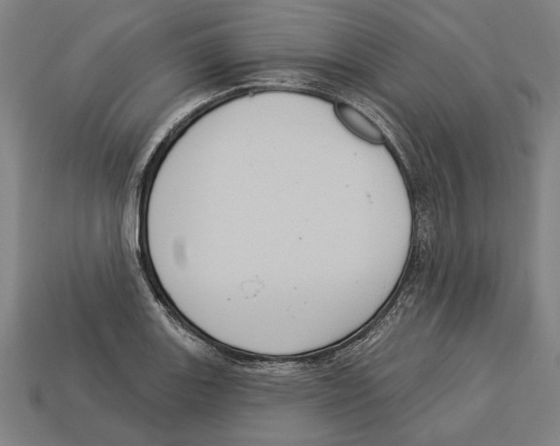 X0000113061131200909250903