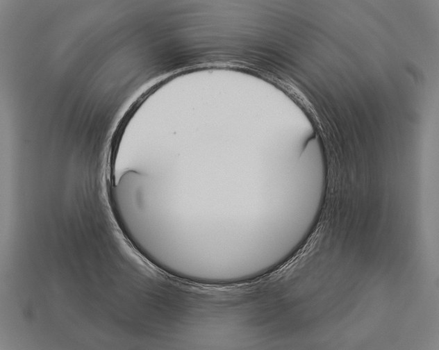 X0000113061132200909250903