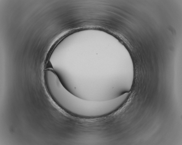 X0000113061134200909250903