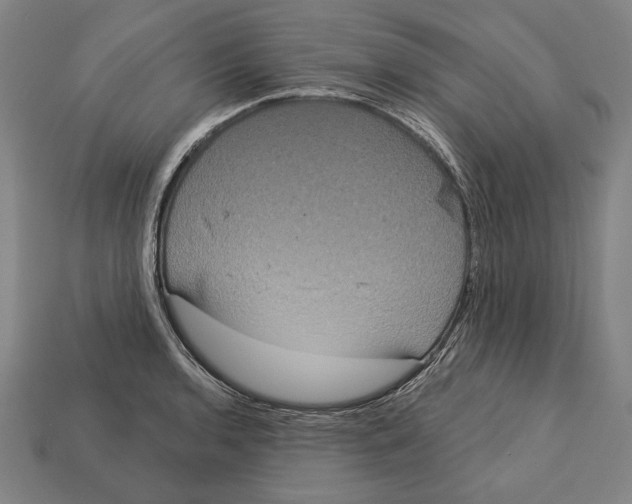 X0000113061136200909250903