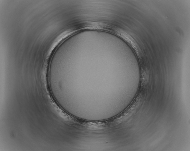 X0000113061138200909250903