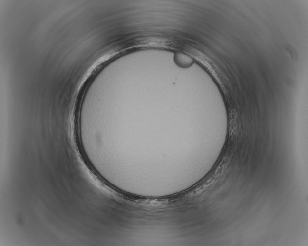 X0000113061139200909250903