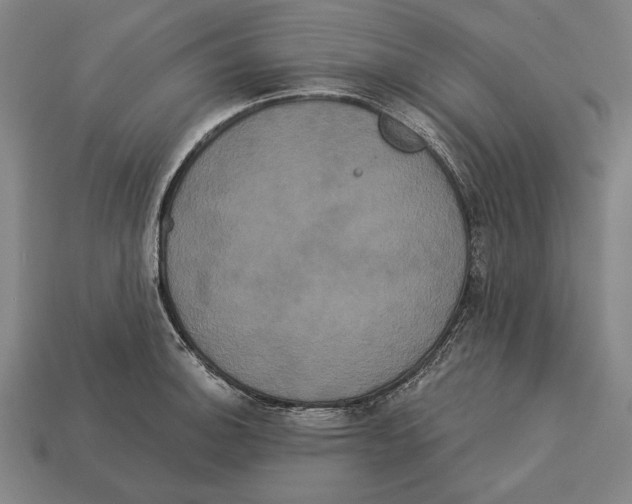 X0000113061140200909250903