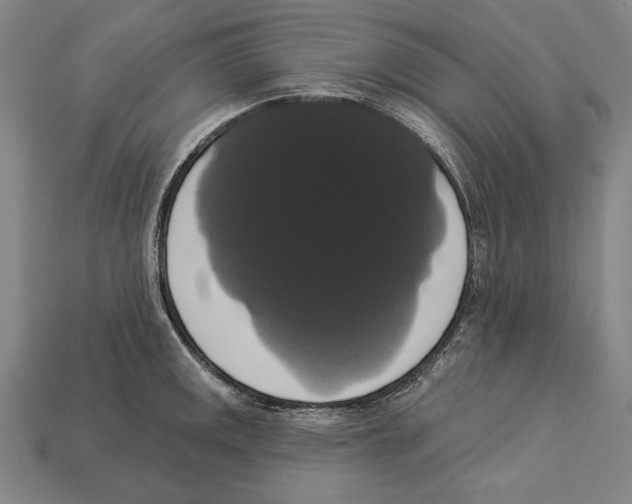 X0000113061141200909250903