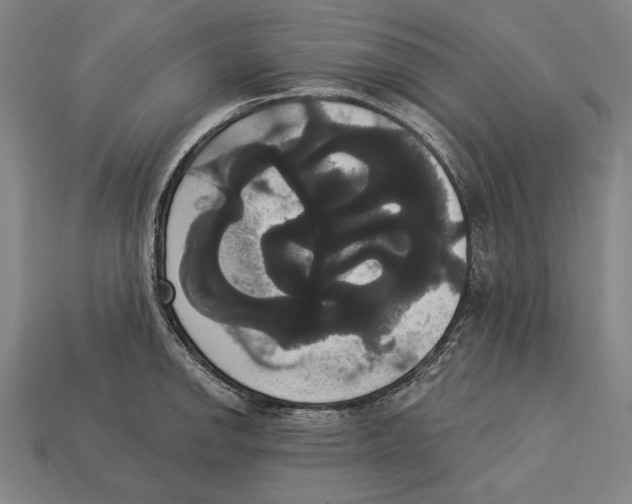 X0000113061142200909250903