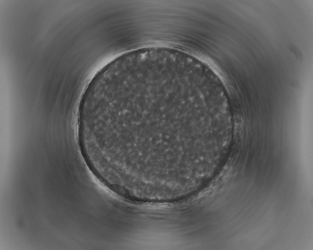 X0000113061143200909250903