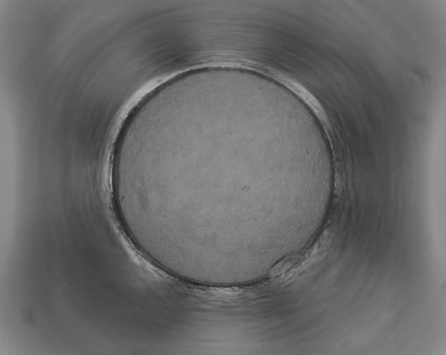 X0000113061144200909250903