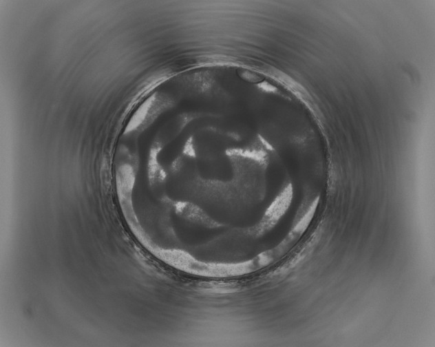 X0000113061145200909250903