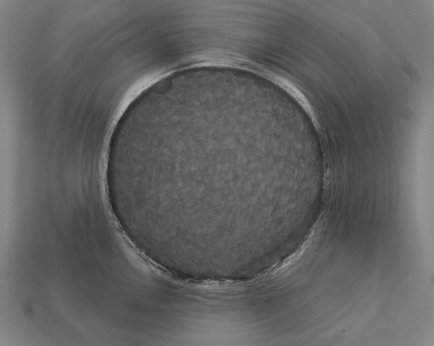 X0000113061146200909250903