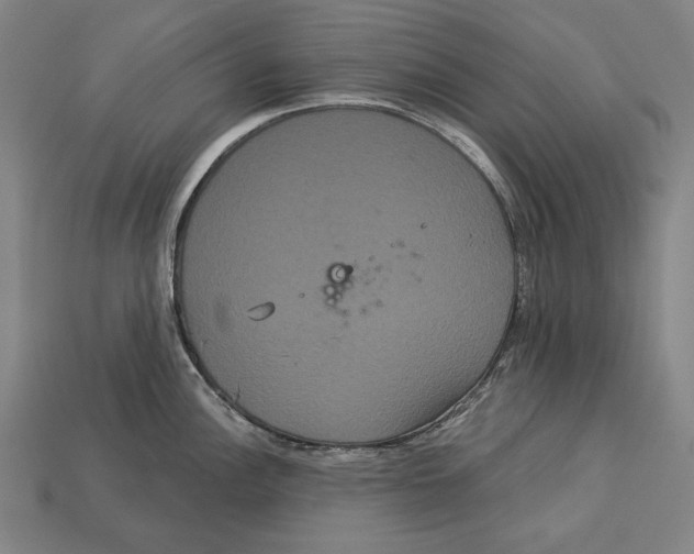 X0000113061148200909250903