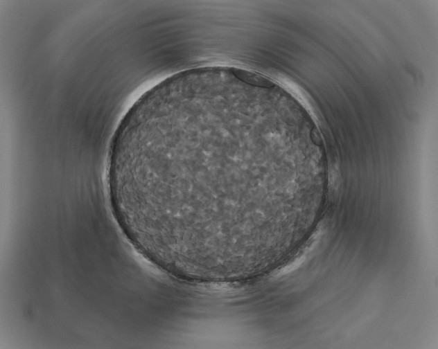 X0000113061149200909250903